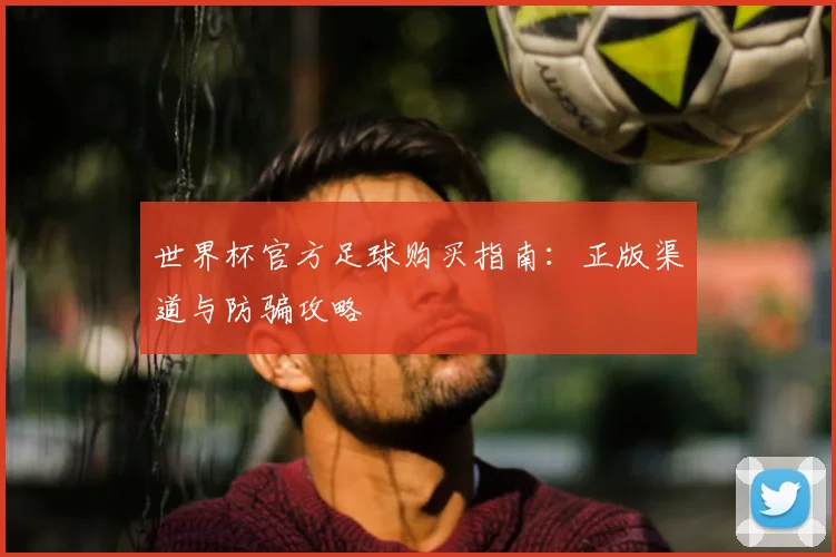 世界杯官方足球购买指南：正版渠道与防骗攻略