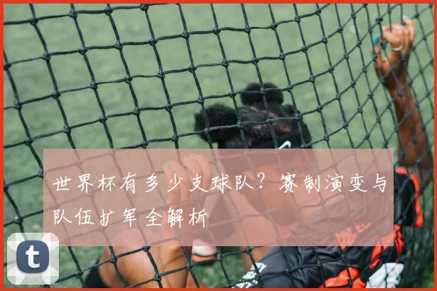 世界杯有多少支球队？赛制演变与队伍扩军全解析